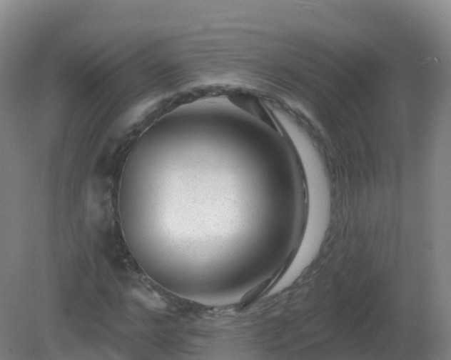 X0000081340968200701182016