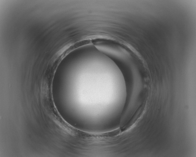 X0000081340969200701182016