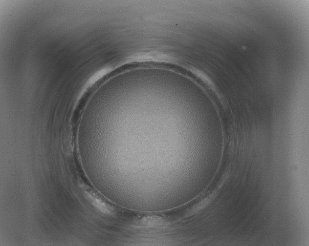 X0000081340974200701182016