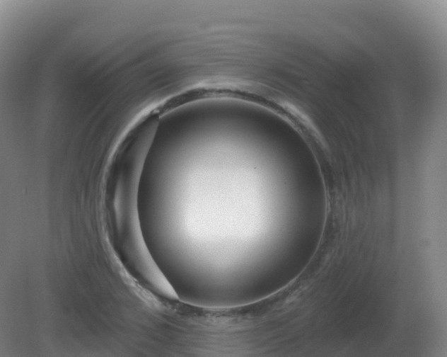 X0000081340976200701182016