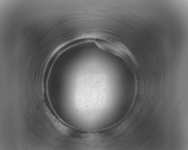 X0000081340980200701182016