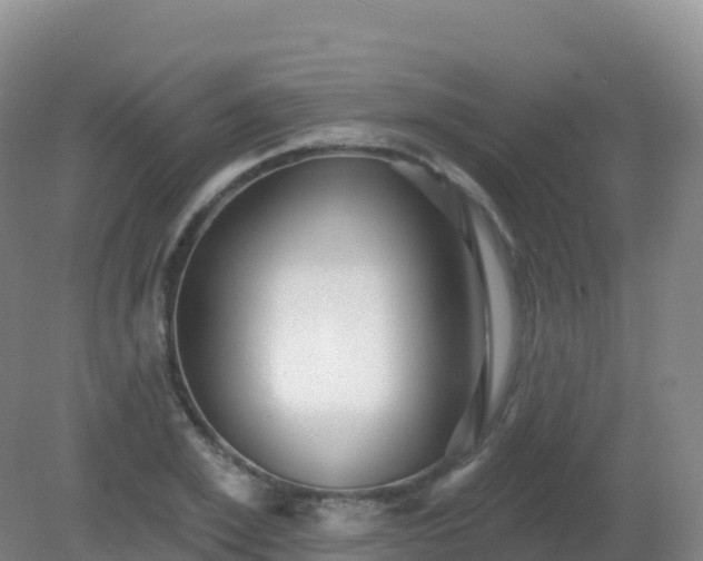 X0000081340981200701182016