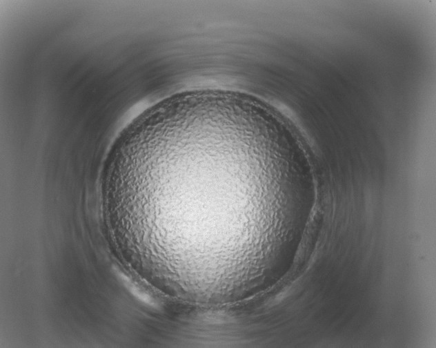 X0000081340982200701182016