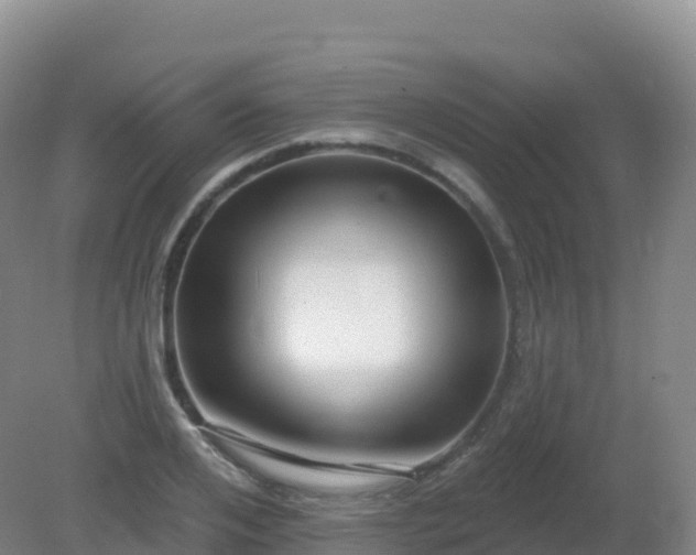 X0000081340984200701182016