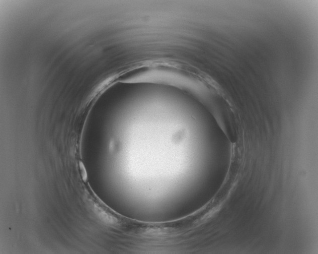 X0000081340985200701182016