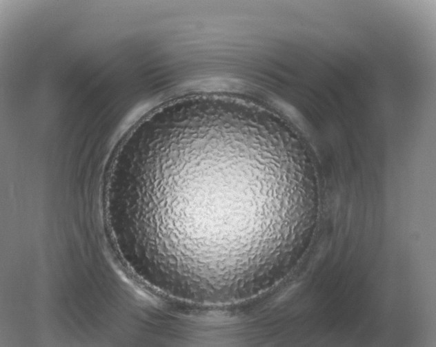 X0000081340986200701182016