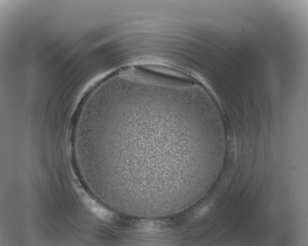 X0000081340987200701182016