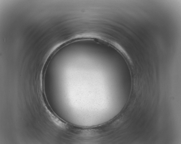 X0000081340988200701182016