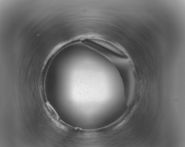 X0000081340989200701182016