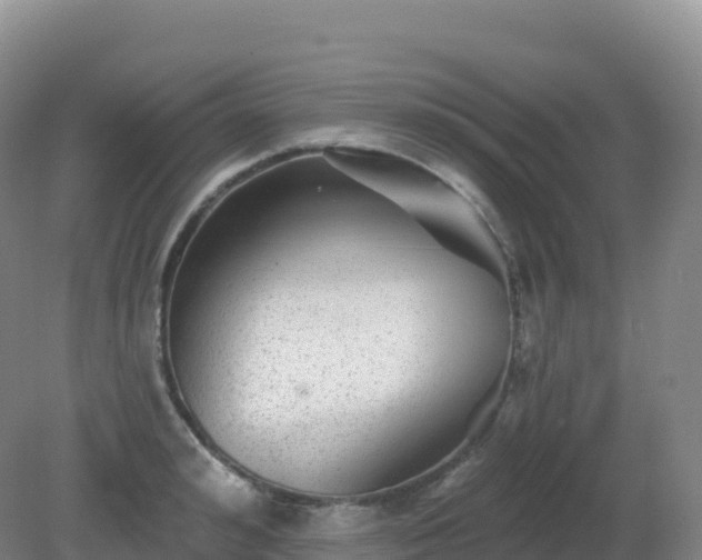 X0000081340992200701182016