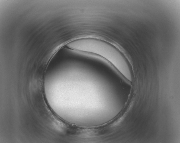 X0000081340993200701182016