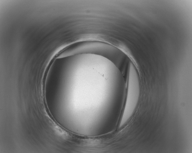 X0000081340996200701182016