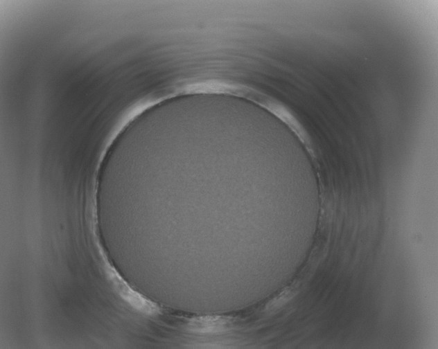 X0000081341000200701182016