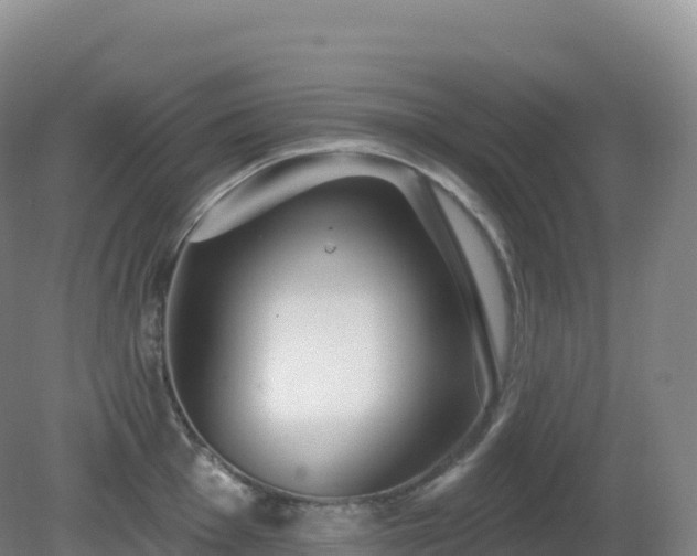 X0000081341001200701182016