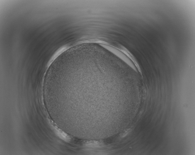 X0000081341002200701182016