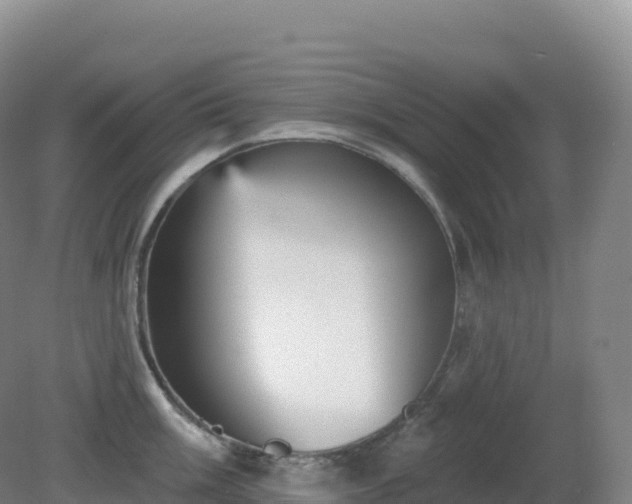 X0000081341003200701182016