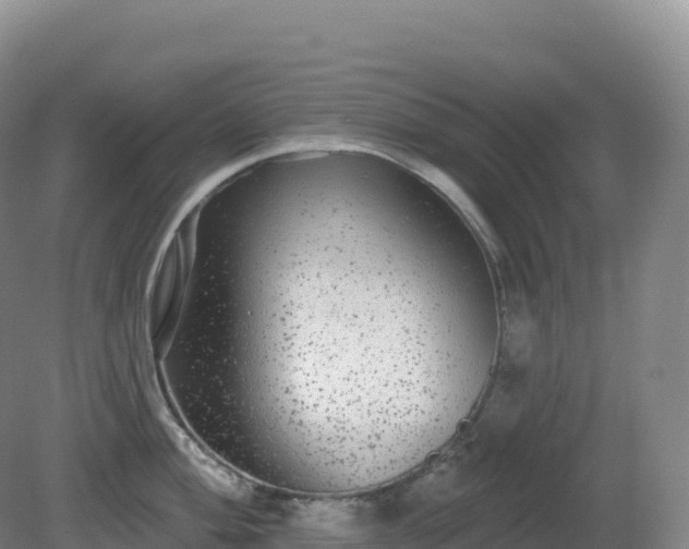 X0000081341004200701182016