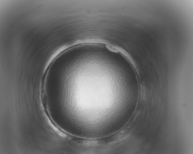 X0000081341006200701182016