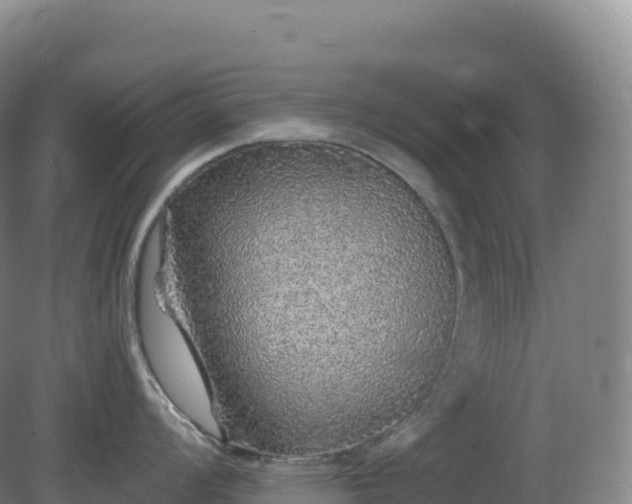 X0000081341008200701182015
