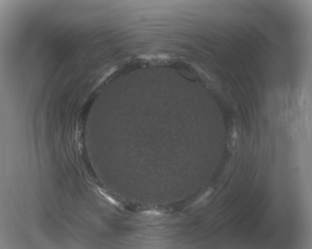 X0000081341010200701182015