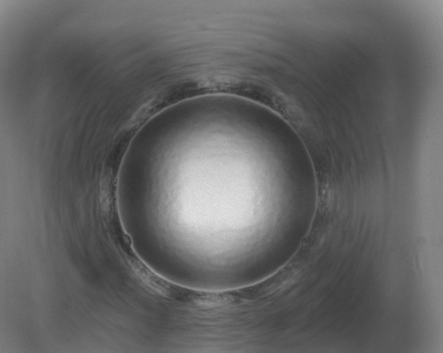 X0000081341012200701182015