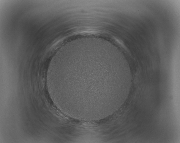 X0000081341015200701182015