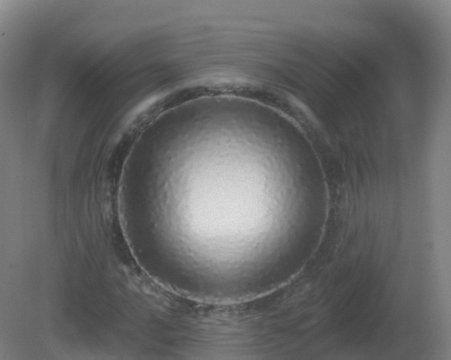 X0000081341016200701182015