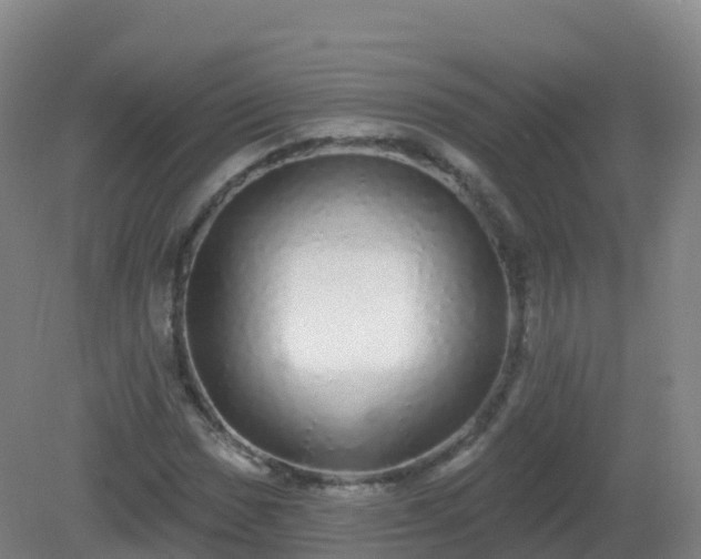 X0000081341017200701182015