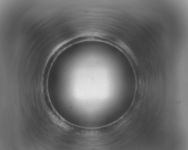 X0000081341020200701182015