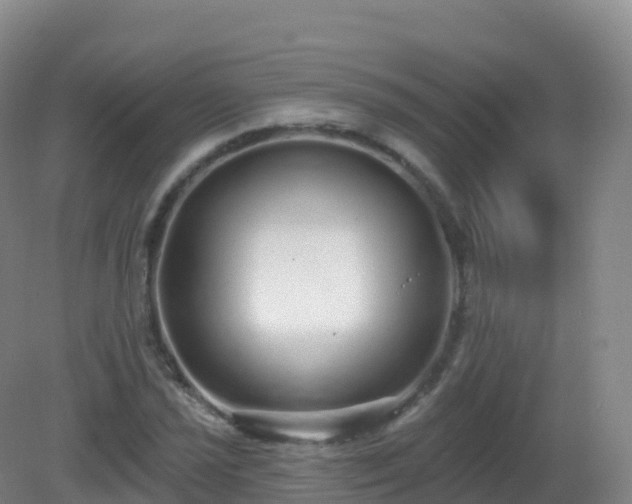 X0000081341021200701182015