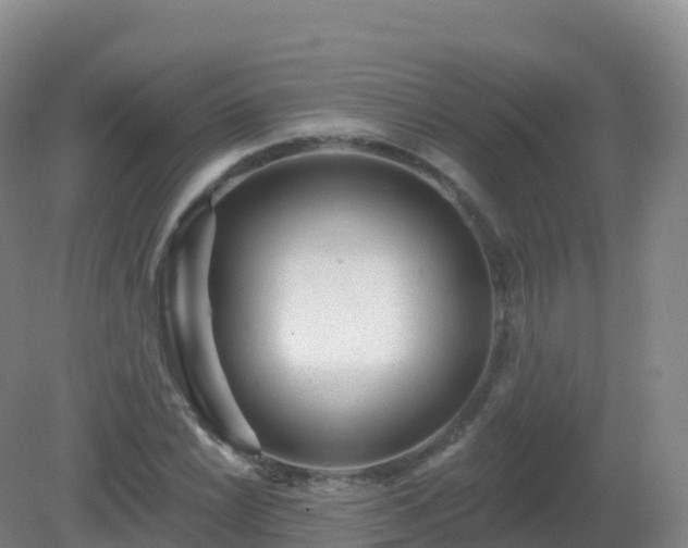 X0000081341022200701182015
