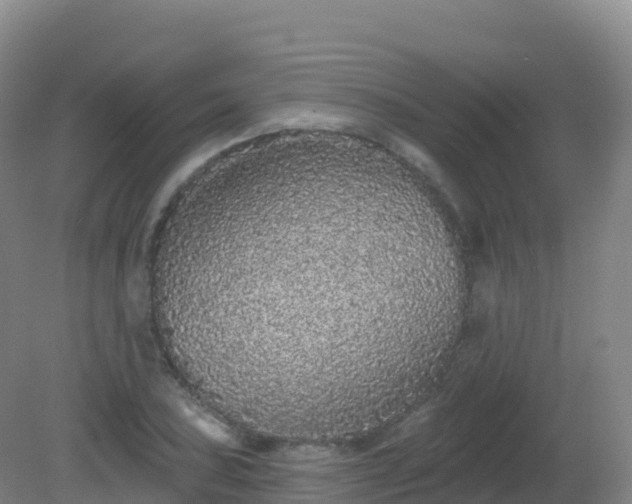 X0000081341027200701182015