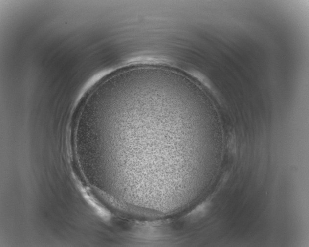 X0000081341030200701182015