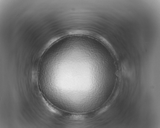 X0000081341041200701182015