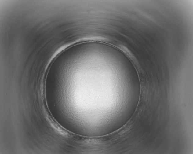 X0000081341044200701182015