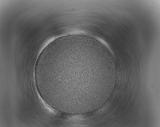 X0000081341047200701182015