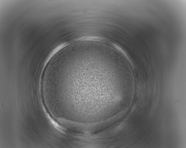 X0000081341050200701182015