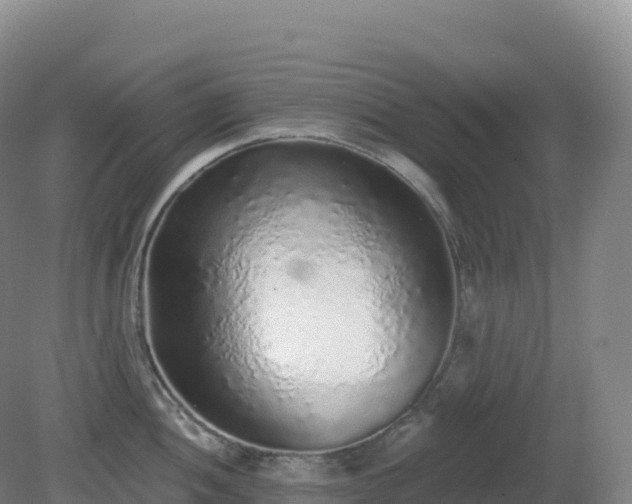 X0000081341052200701182015