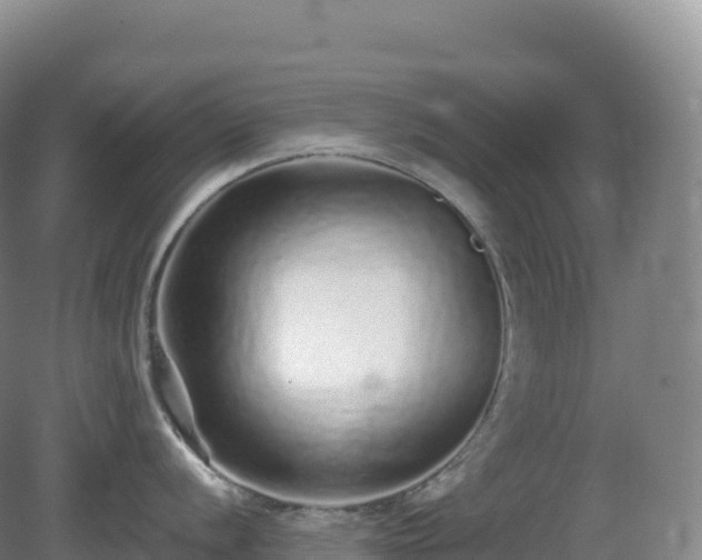 X0000081341056200701182015