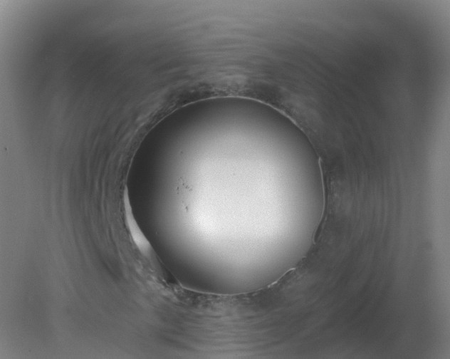 X0000081341057200701182015