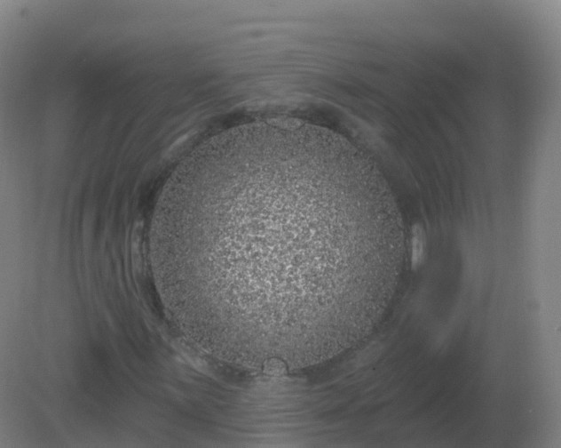 X0000081341059200701182015