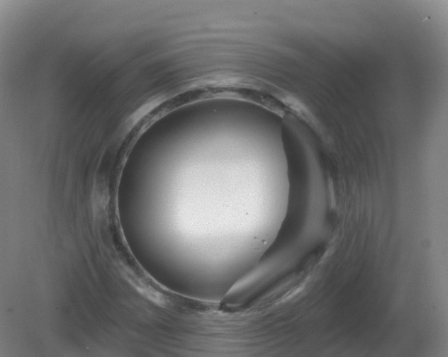 X0000081341065200701182015