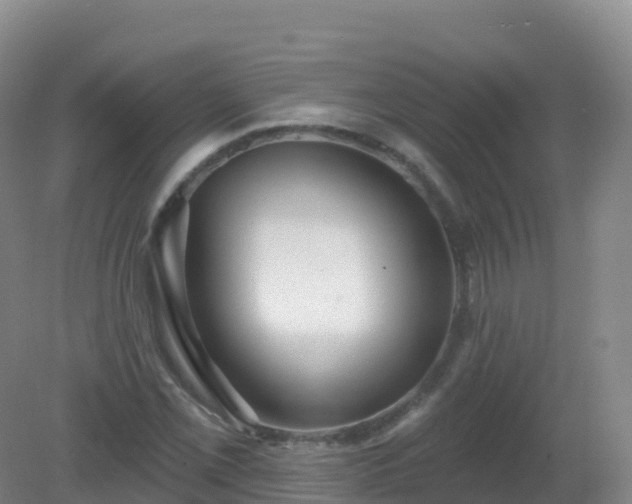 X0000081341069200701182014