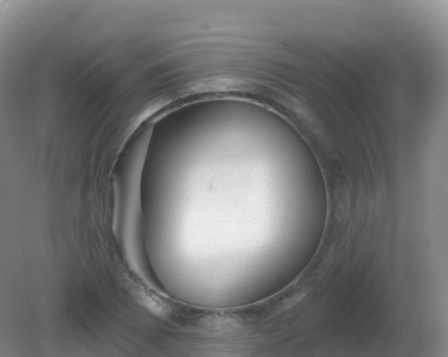 X0000081341073200701182014