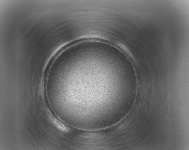 X0000081341076200701182014