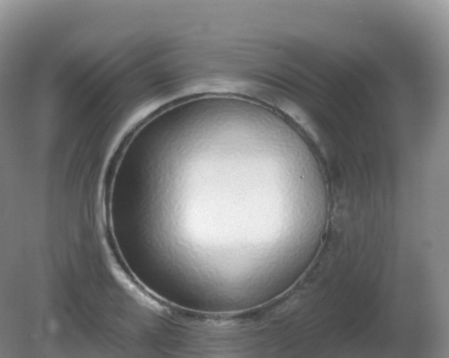 X0000081341080200701182014