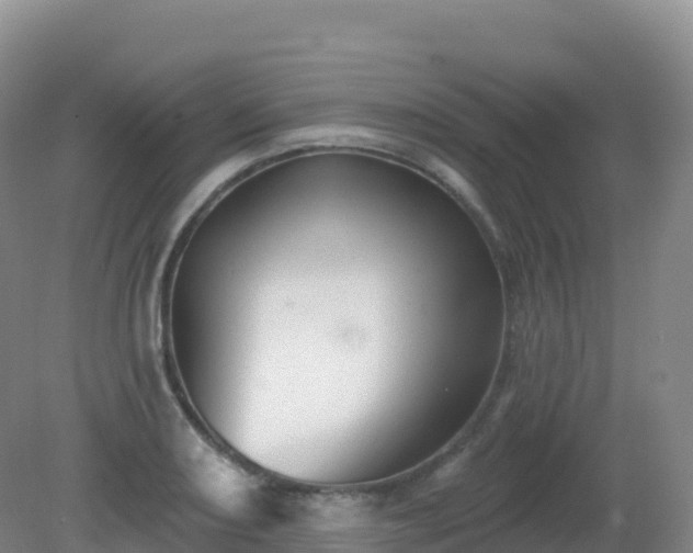 X0000081341082200701182014