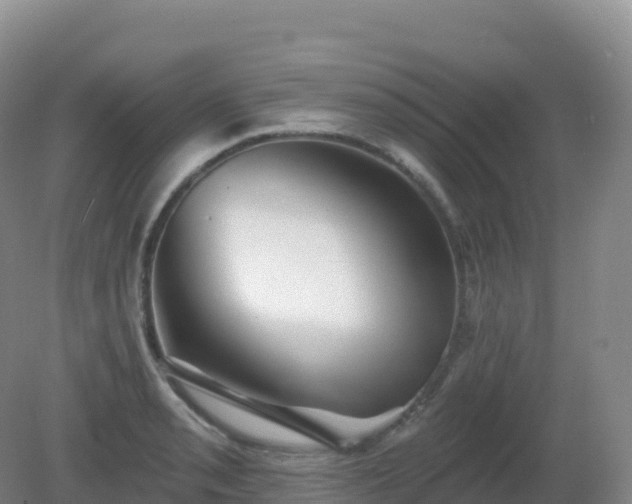 X0000081341085200701182014