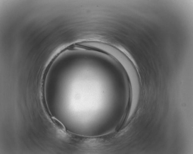 X0000081341093200701182014