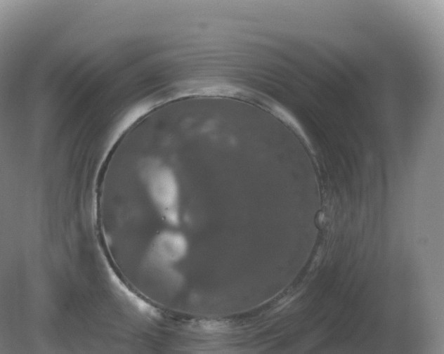 X0000081341095200701182014